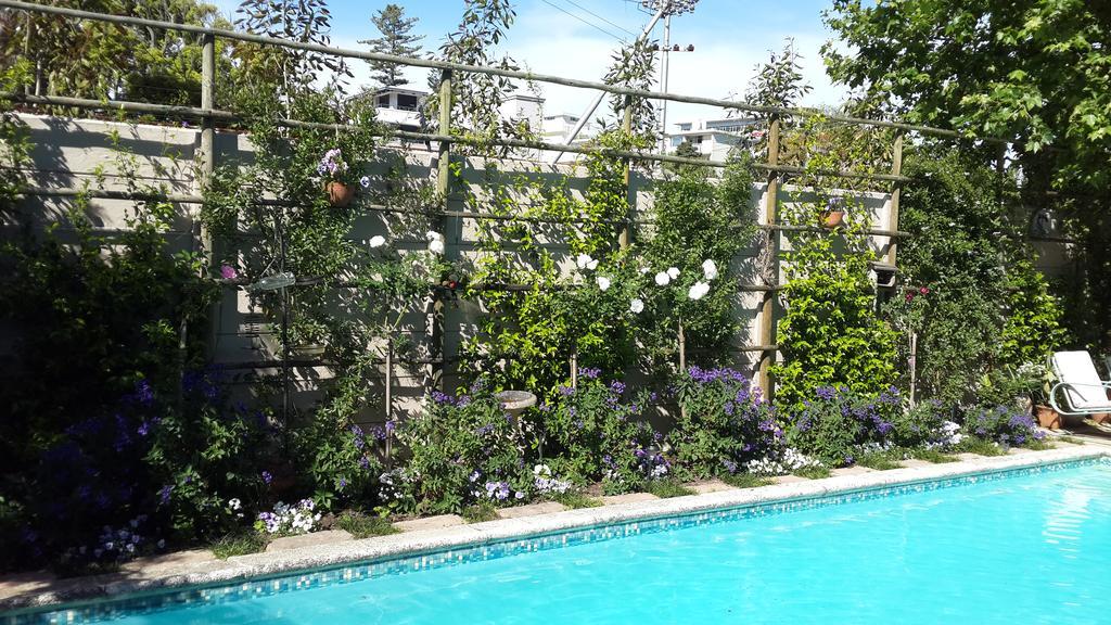 Glenhaven Guesthouse Cape Town Exterior photo
